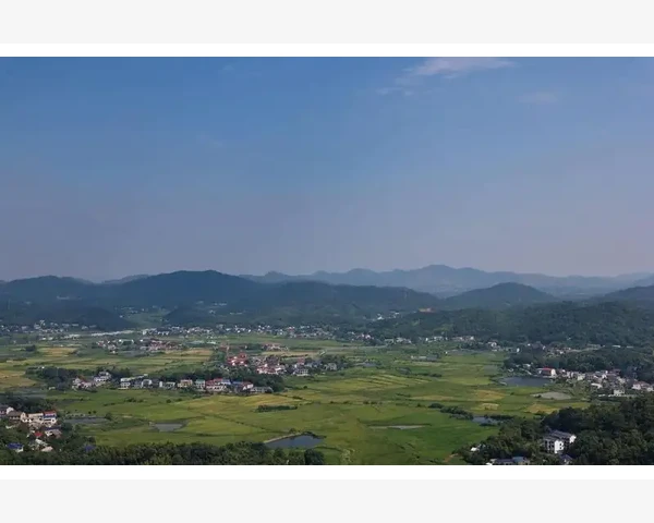 建筑业会计分录实务操作与案例详解
