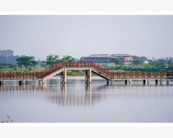 更年期吃什么好：中医里的调养良方