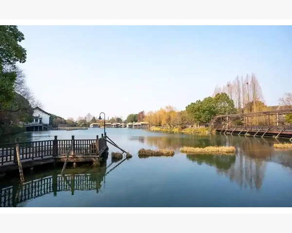 中医推拿能有效化痰积食 并缓解发烧，舒缓身体不适
